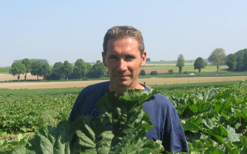 Mathieu et Valentin Vermes produisent près de 25 tonnes de rhubarbe par an.