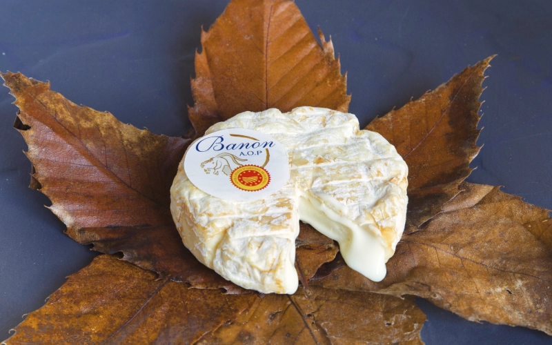 Le banon, fromage affiné sous feuilles au cœur de la Provence