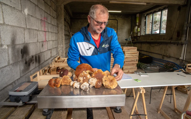 Laurent Deyzac est courtier en champignons sauvages, à Égletons.