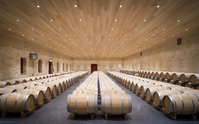 L’intégralité du vignoble du Château Fourcas Hosten est désormais travaillé en viticulture biologique. Crédits : Château Fourcas Hosten.