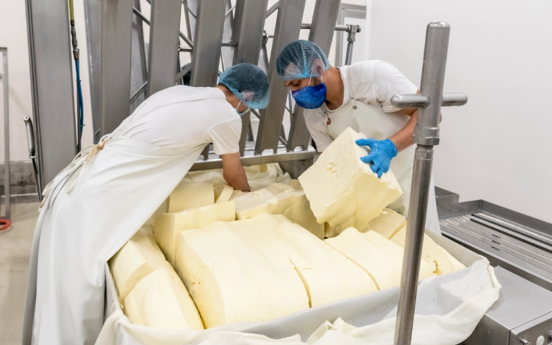 Un homme et une femme qui fabriquent du fromage