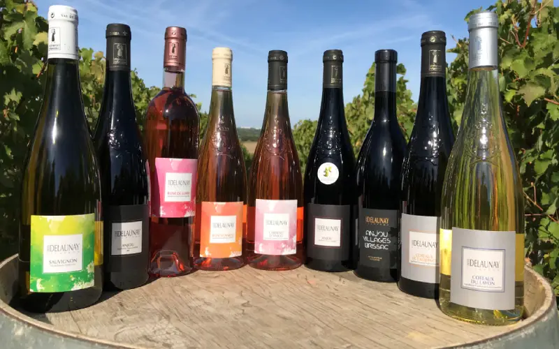 Delaunay Vins Domaines EcoVadis