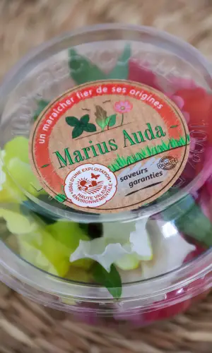 Bol de fleurs Marius Auda
