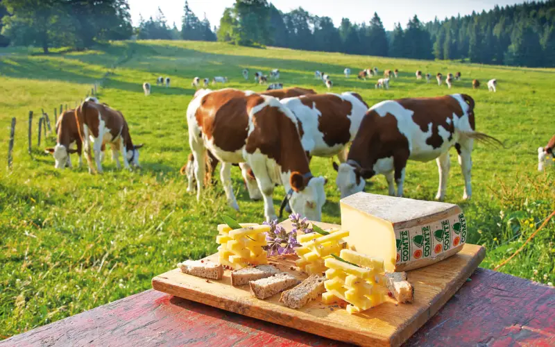 fromages été