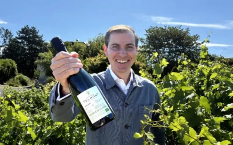 justin meade directeur general champagne telmont