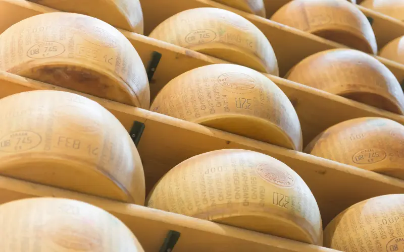 meules parmigiano reggiano dalterfood group