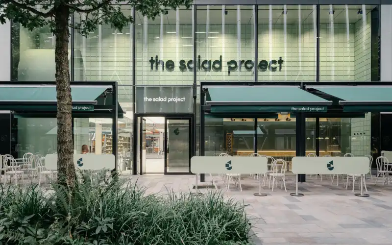 salad project