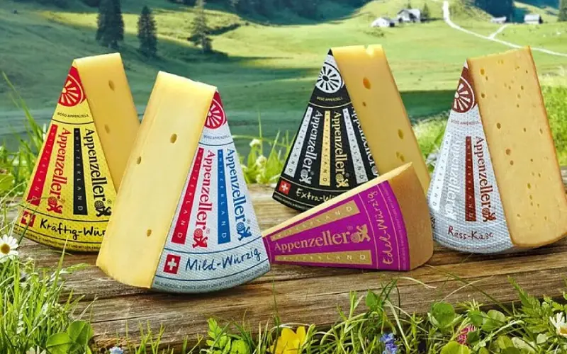 appenzeller