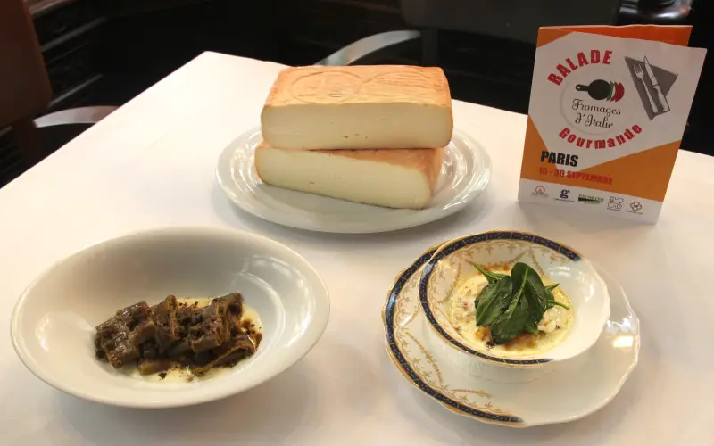 taleggio