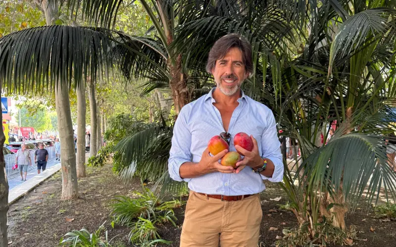 mangue