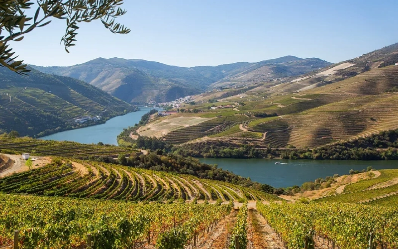 Porto - vallée du Douro