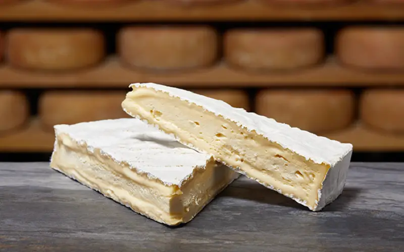 brie de meaux