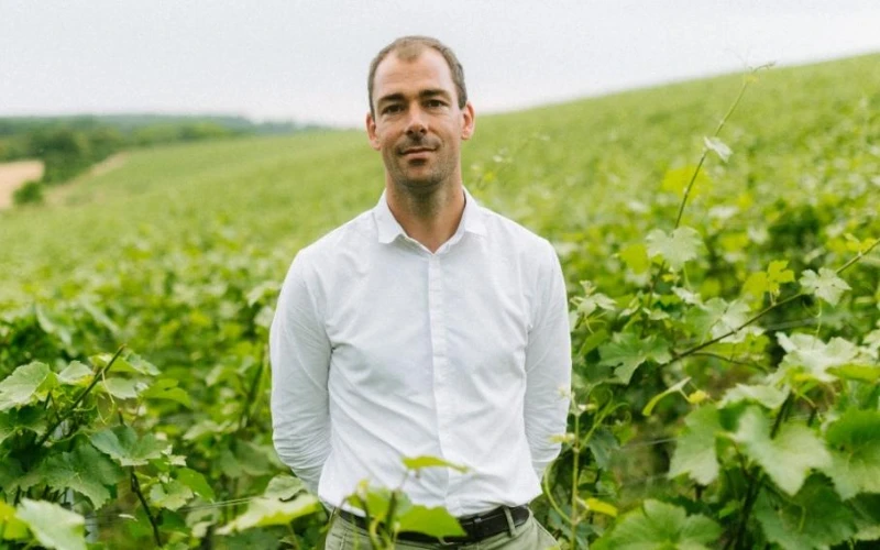Cédric Roblet, nouveau directeur général de Champagne AYALA